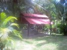 Ampliar